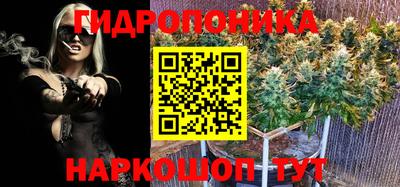 jwh Отрадный