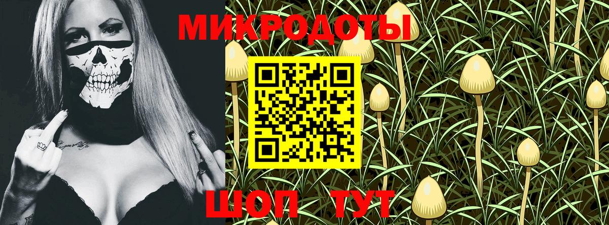 Рославль  Псилоцибиновые грибы мухоморы  Псилоцибиновые грибы мухоморы  Вход с VPN 